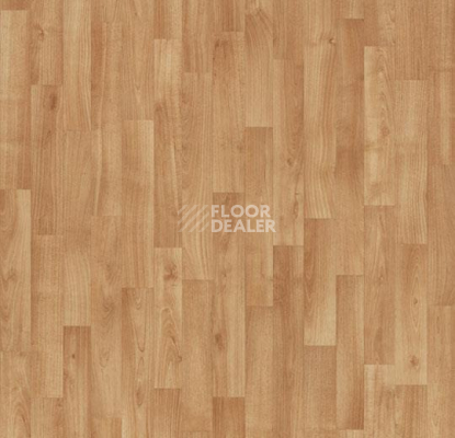 Линолеум Forbo Eternal Wood 11162 tropical beech фото 1 | FLOORDEALER